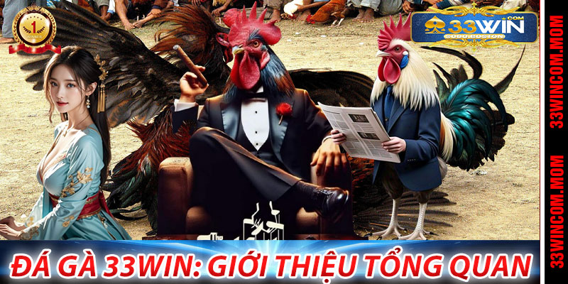 Đá Gà 33Win: Giới thiệu tổng quan