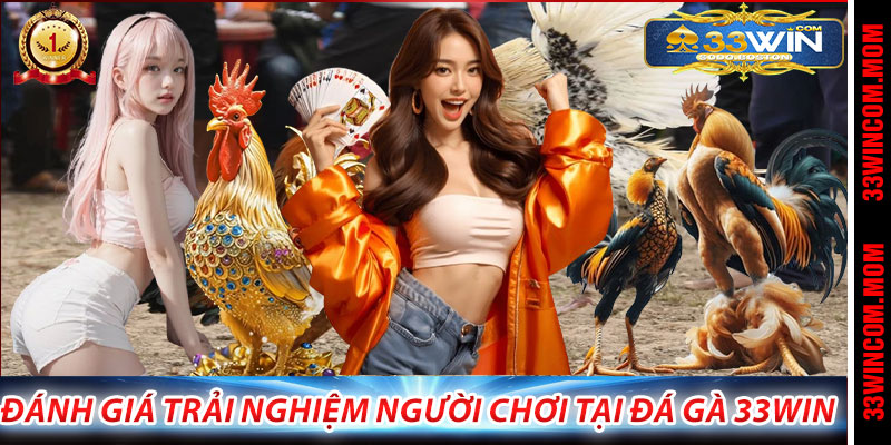 Đánh giá trải nghiệm người chơi tại Đá Gà 33Win